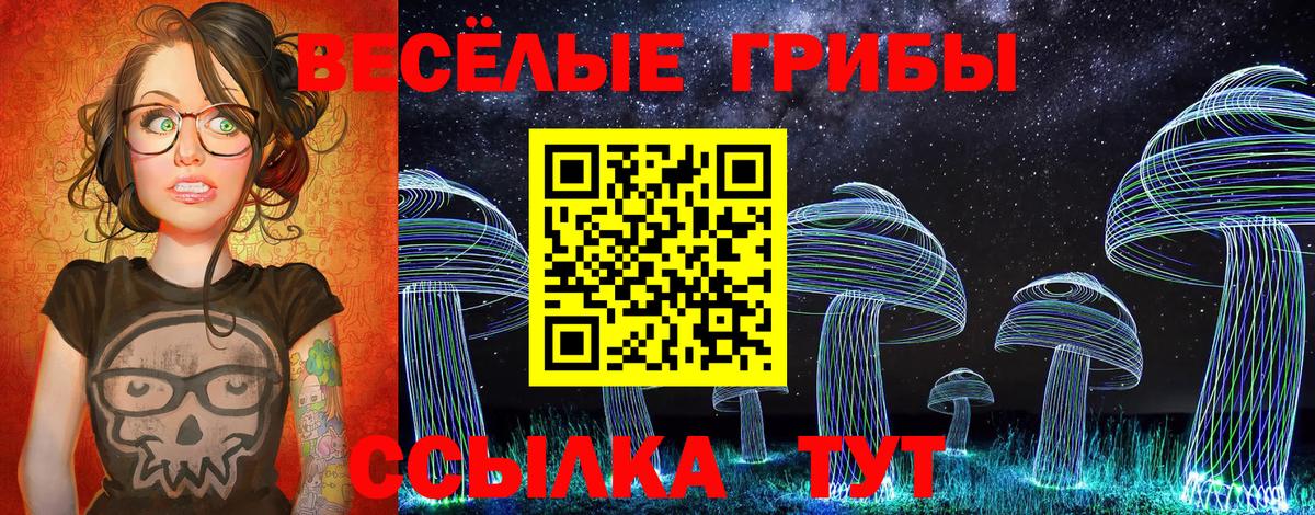 Псилоцибиновые грибы MAGIC MUSHROOMS  Вход с VPN  Урус-Мартан 