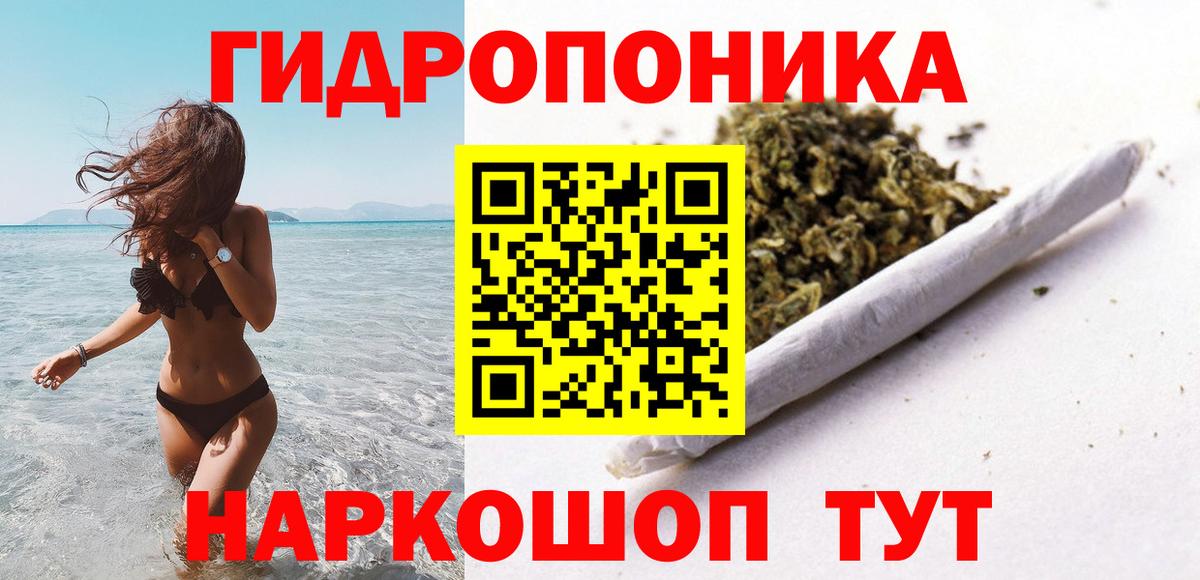 Канабис семена Урус-Мартан